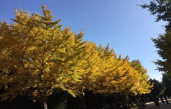 北京公司注冊需要找哪些專業(yè)機(jī)構(gòu)幫助？